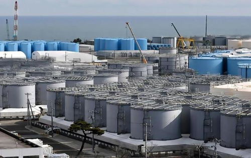 国内日料店的转型与真相 食材国产化背后的行业新常态