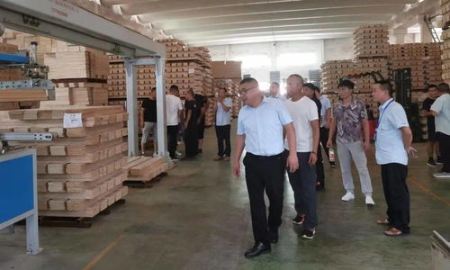 赋能共赢，携手冠林经销商共探合作新篇章