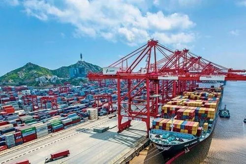 前5个月我国服务进出口增速创年度新高，国内贸易代理作用凸显